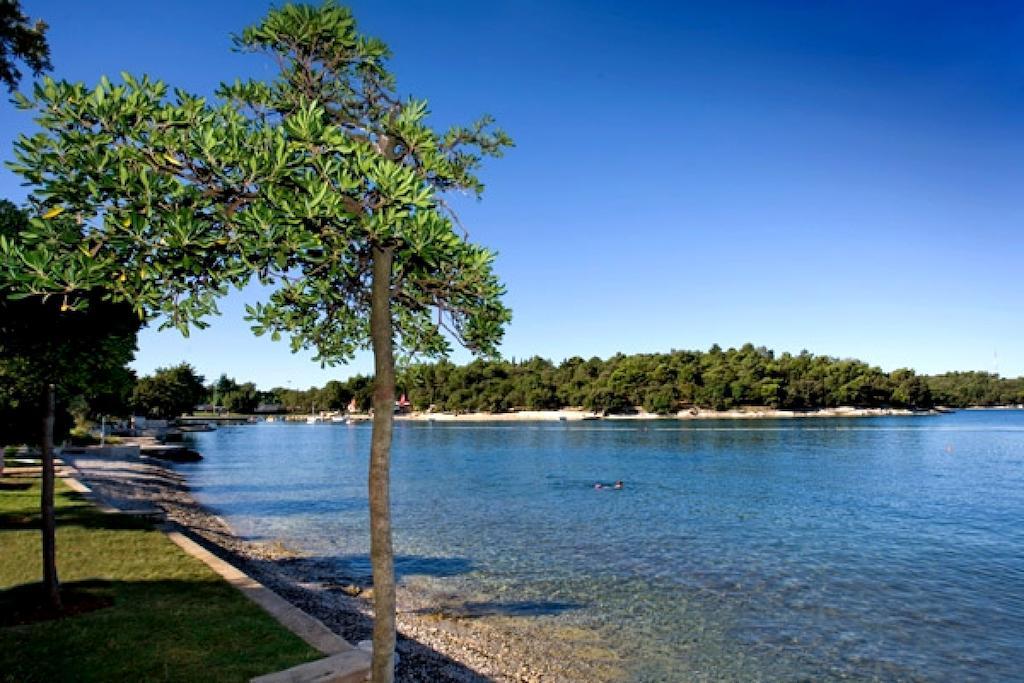 Hotel Zorna Plava Laguna بوريتش المظهر الخارجي الصورة
